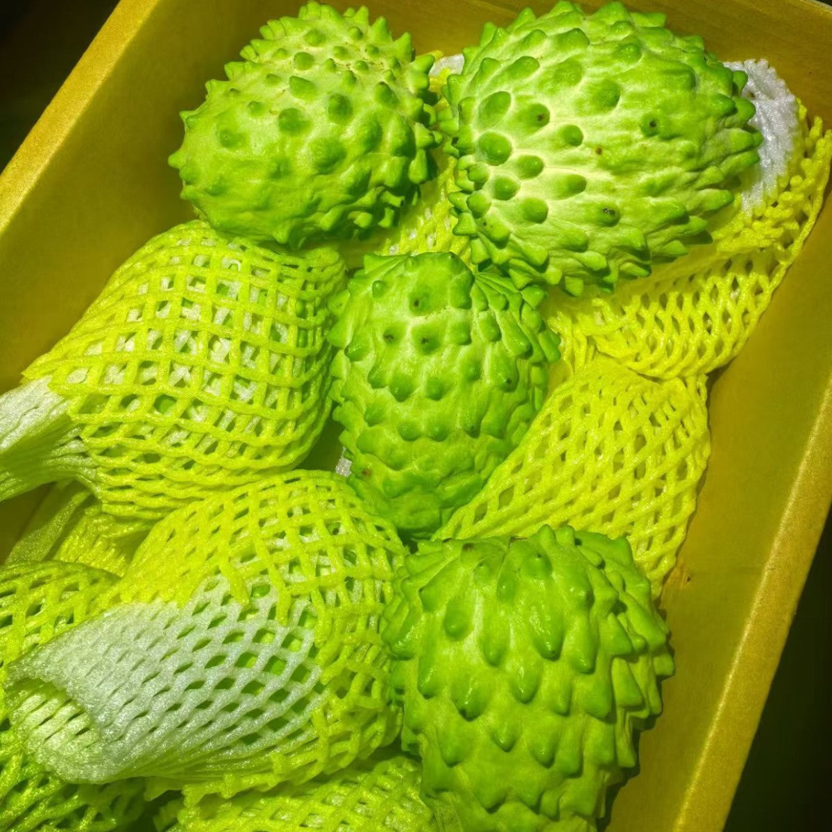 π± Soursop Seeds β 50 Grains Grow Exotic Tropical Fruit at Home π΄-wsm