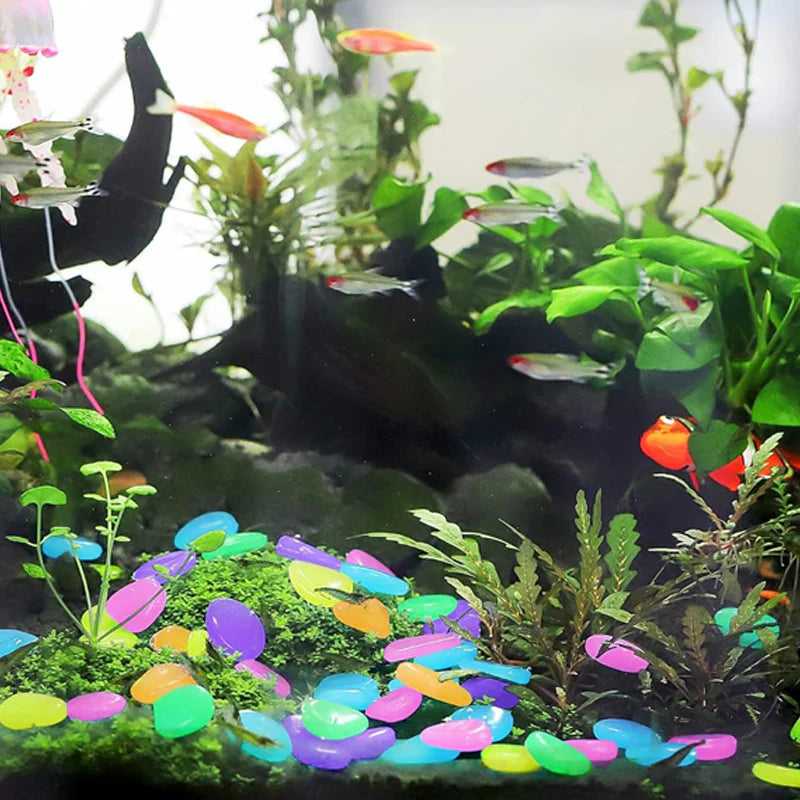 【Mother’s Day Gift】🌈 Glow-in-the-Dark Pebbles- Garden & Aquarium Decor-wsm