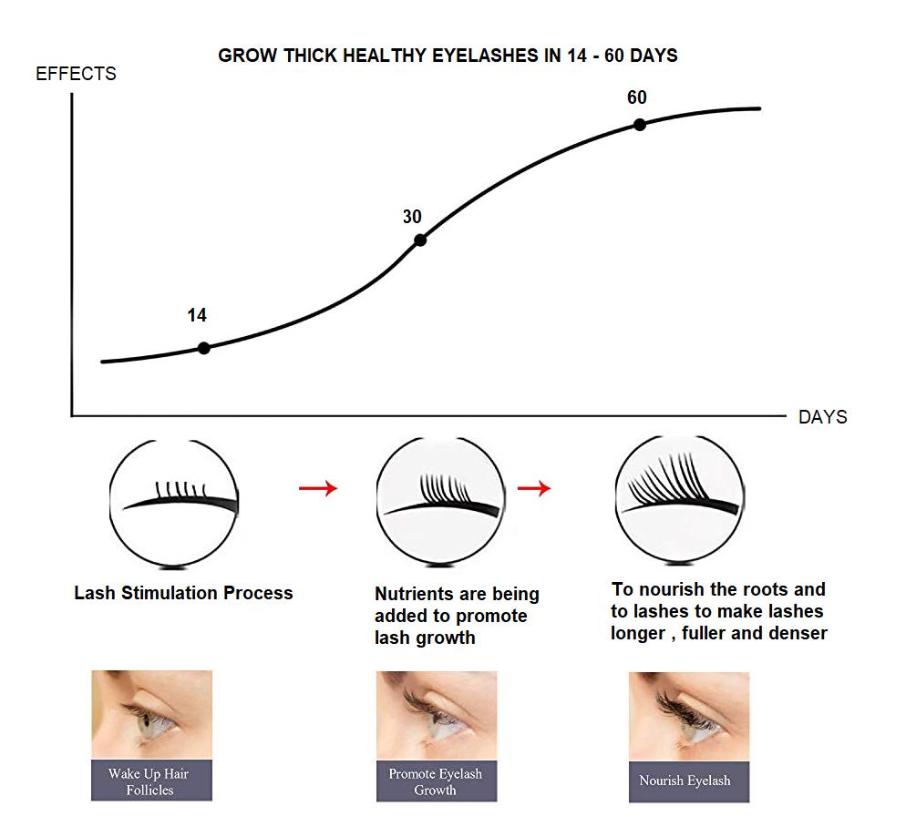 Avellia Eyelash Enhancing Serum with Powerful Peptides & Plant Botanicals for Thinning Lashes 3ML Makeup Cosmetic-tss