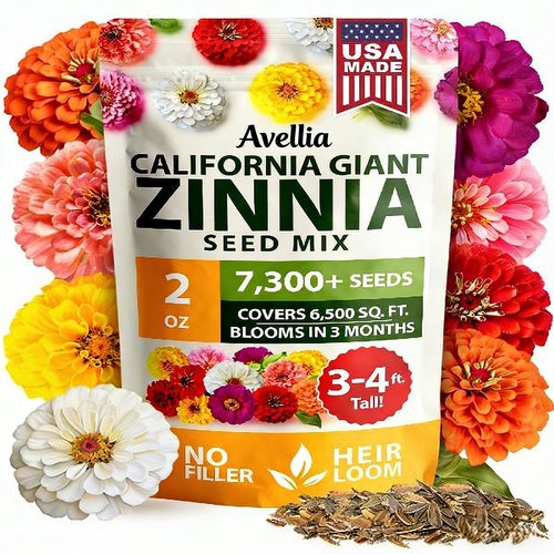 【Mother’s Day Gift】Avellia Zinnia Seeds - Pure Seeds - No Filler - USA Heirloom Flower Seeds-tss