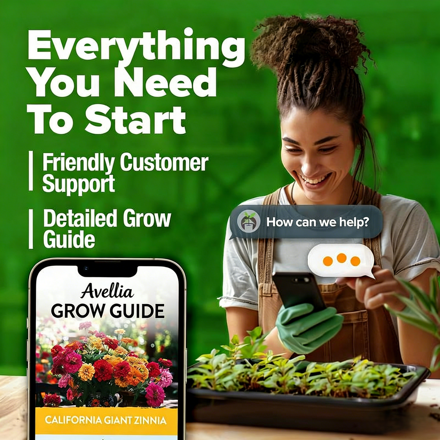 【Mother’s Day Gift】Avellia Zinnia Seeds - Pure Seeds - No Filler - USA Heirloom Flower Seeds-tss