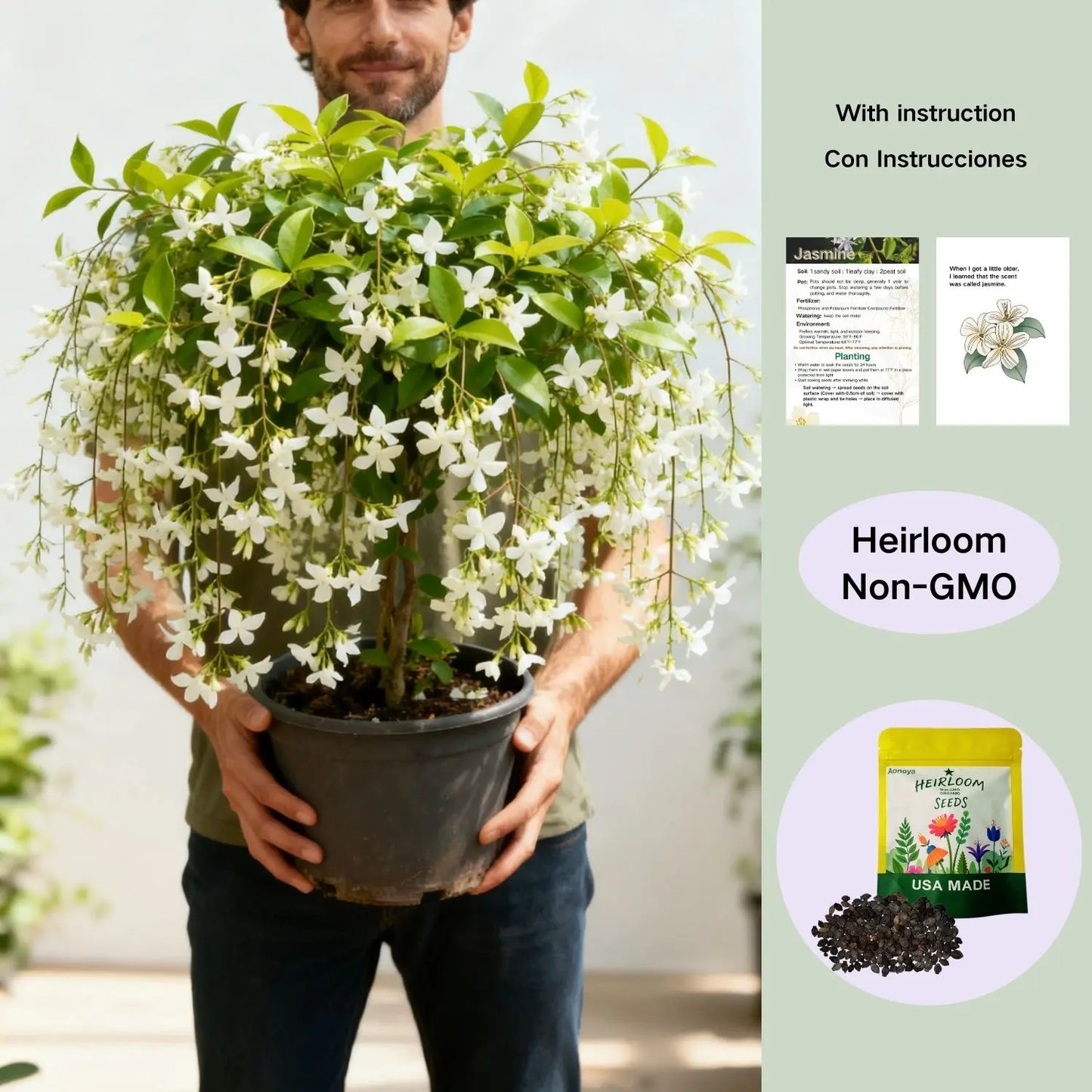 Buy 2 Get 1 Free | Trailing Jasmine Seeds – Easy Grow, Fragrant Blooms for Home & Balcony-tss