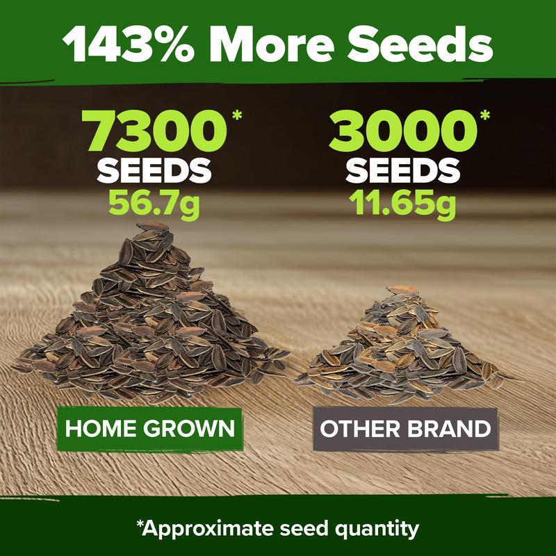 【Mother’s Day Gift】Avellia Zinnia Seeds - Pure Seeds - No Filler - USA Heirloom Flower Seeds-tss