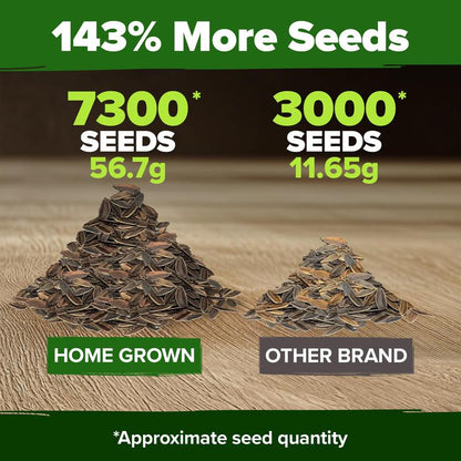 【Mother’s Day Gift】Avellia Zinnia Seeds - Pure Seeds - No Filler - USA Heirloom Flower Seeds-tss