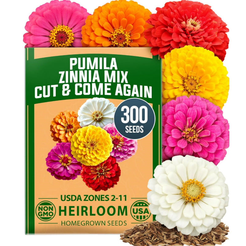【Mother’s Day Gift】Avellia Zinnia Seeds - Pure Seeds - No Filler - USA Heirloom Flower Seeds-tss