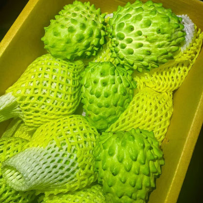 🌱 Soursop Seeds – 50 Grains Grow Exotic Tropical Fruit at Home 🌴-wsm