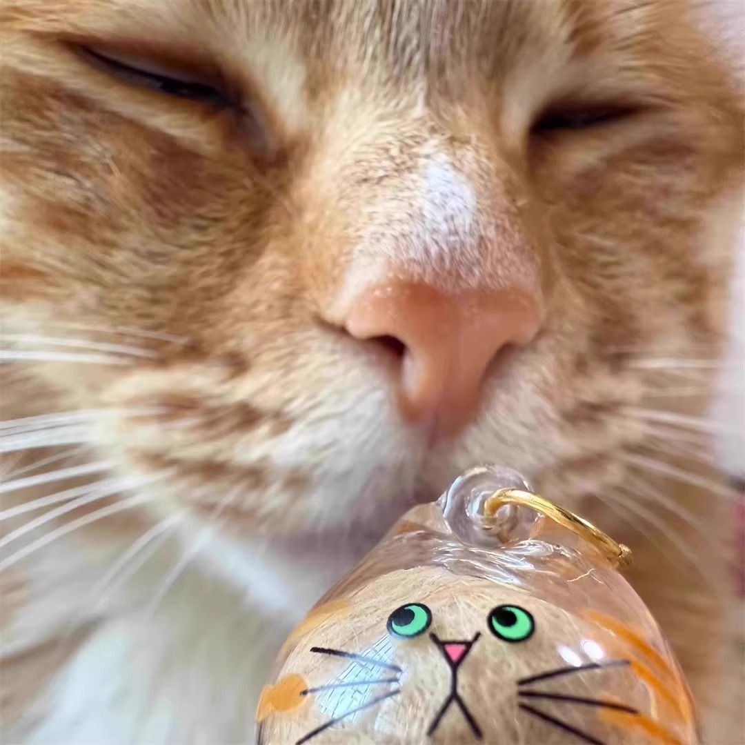 Pet Fur Memory Capsule Keychain Cat Fur Collection Capsule Dog Hair Collector Keychain -tss