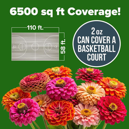【Mother’s Day Gift】Avellia Zinnia Seeds - Pure Seeds - No Filler - USA Heirloom Flower Seeds-tss