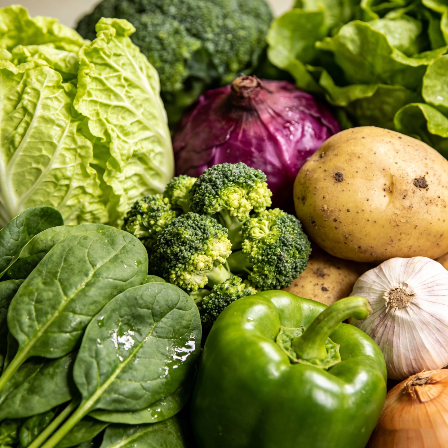 🚨 Grow Your Own Organic Veggies At Home | 35-Variety Avellia Seed Vault Kit-wsm🥦🥬🫑🌽🥔